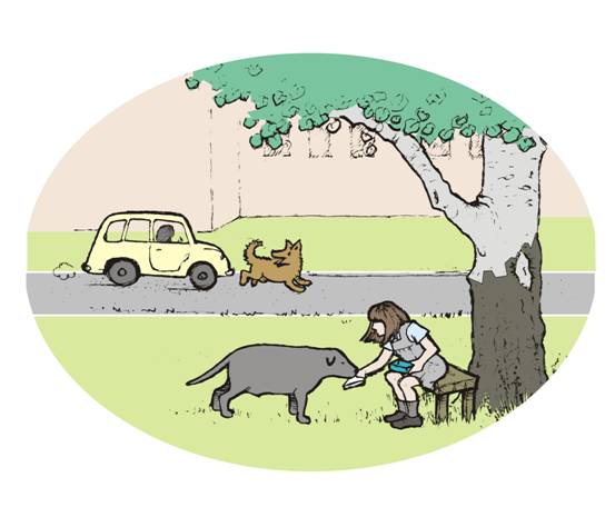 dogs